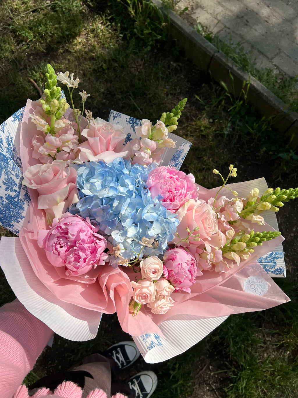 Peonia